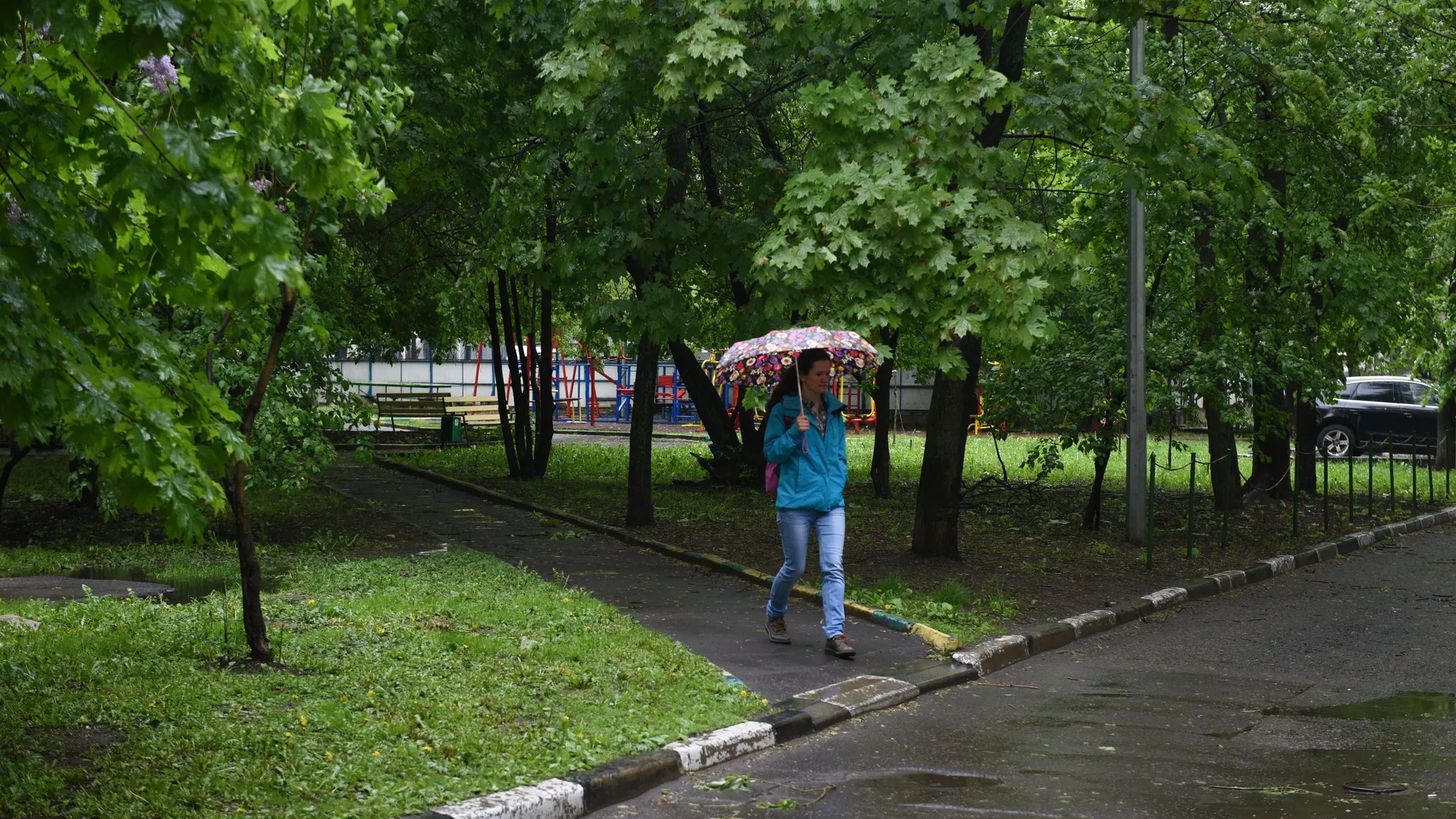 Фото: Медиаархив Подмосковья
