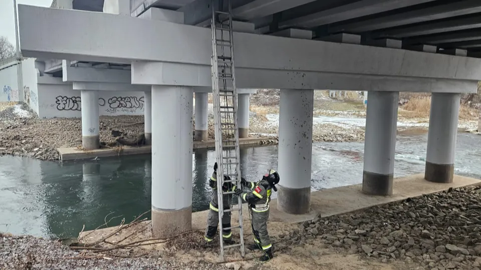 Фото: Главное управление гражданской защиты Московской области