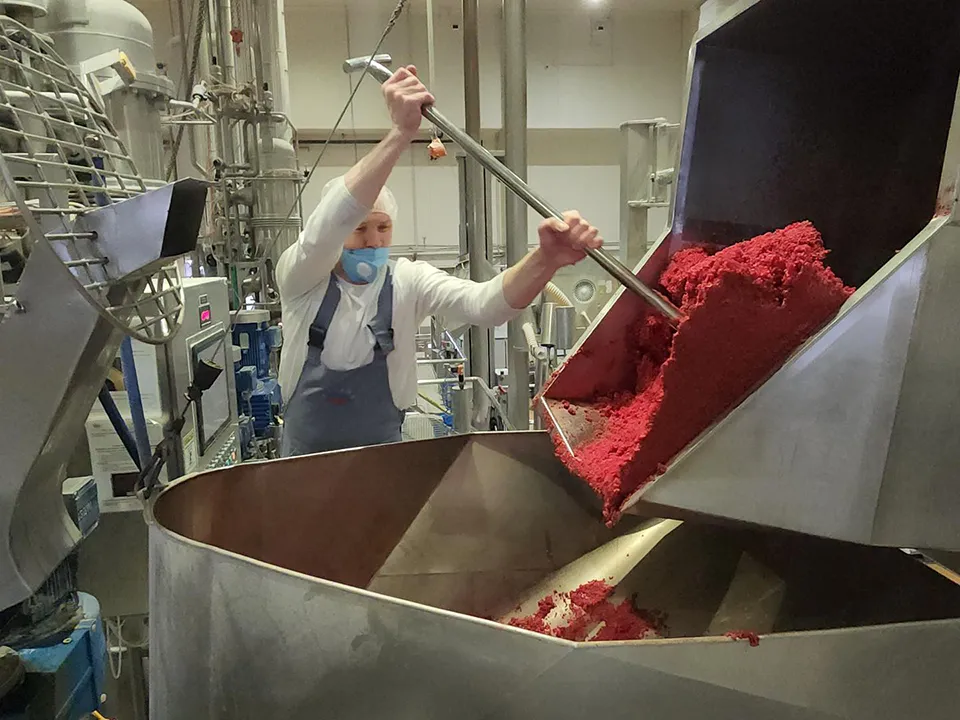 Фото: REGIONS/Валерий Гореловский