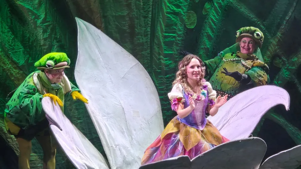 Фото: Дом офицеров Краснознаменска