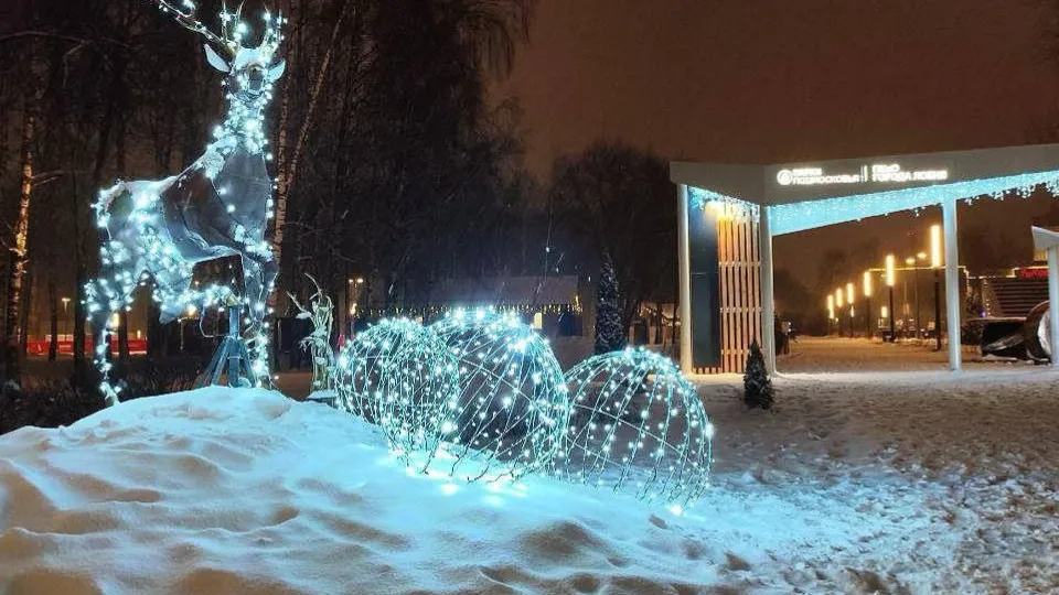 Фото: пресс-служба администрации г.о. Лобня