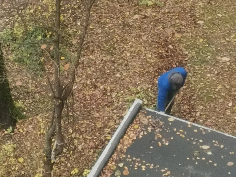 Фото: Любовь С.&nbsp;