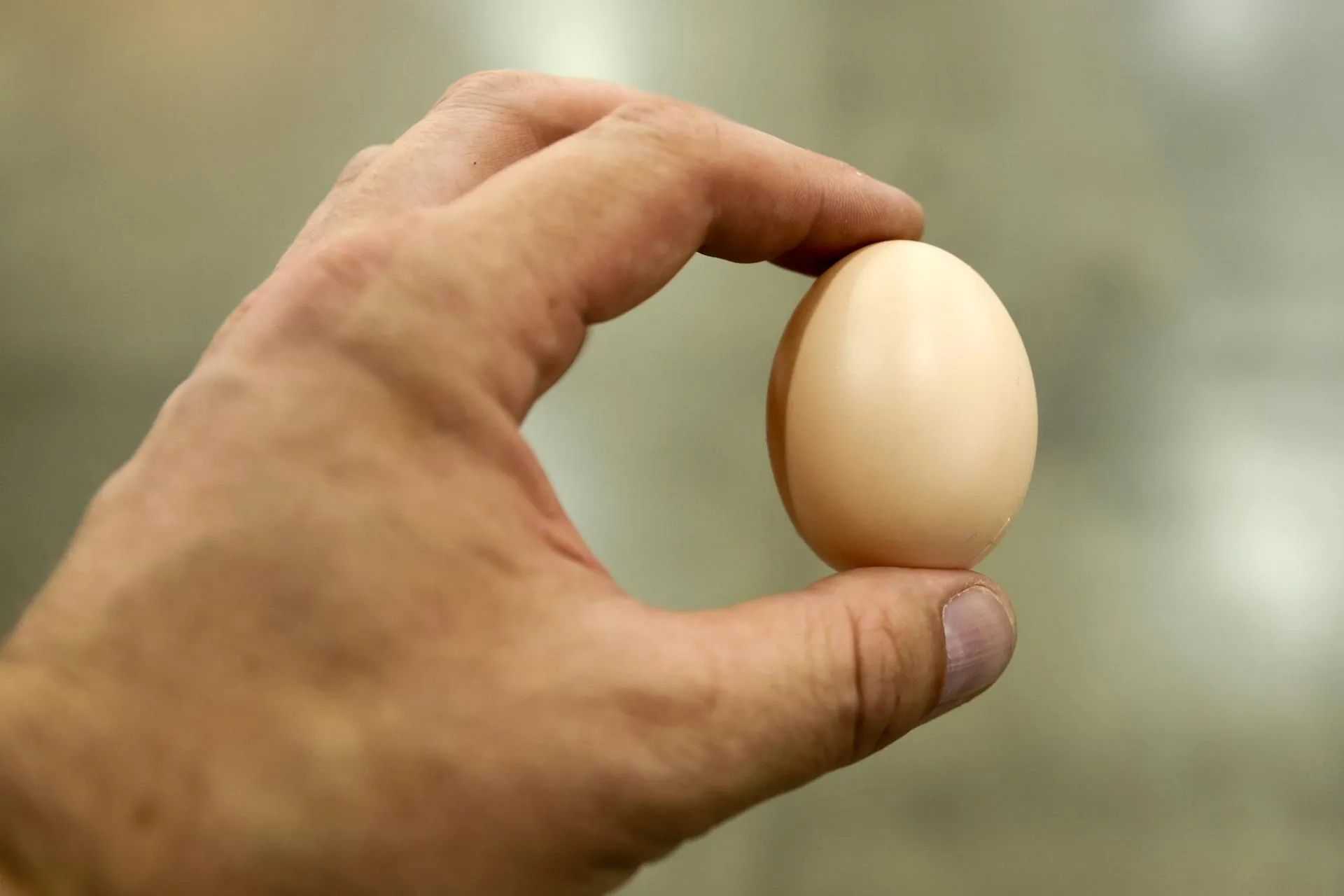 Petrov Sergey/news.ru