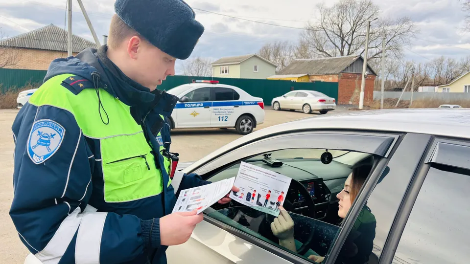 Фото: Госавтоинспекция г.о. Серебряные Пруды