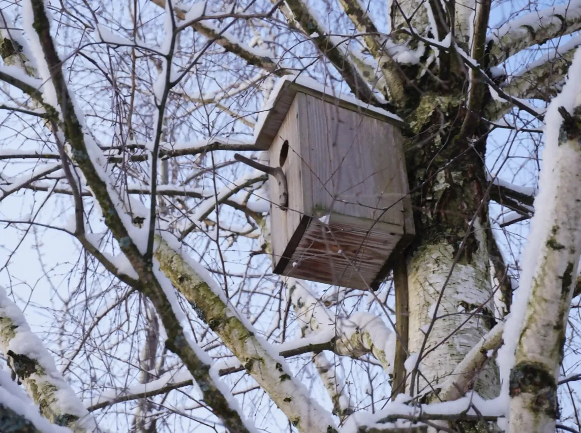 Фото: t.me/alexander_gorbylev_ruza