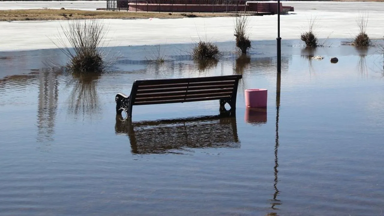 медиасток.рф