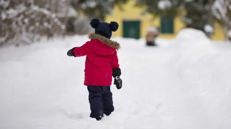 Фото: istockphoto.com/goodmoments