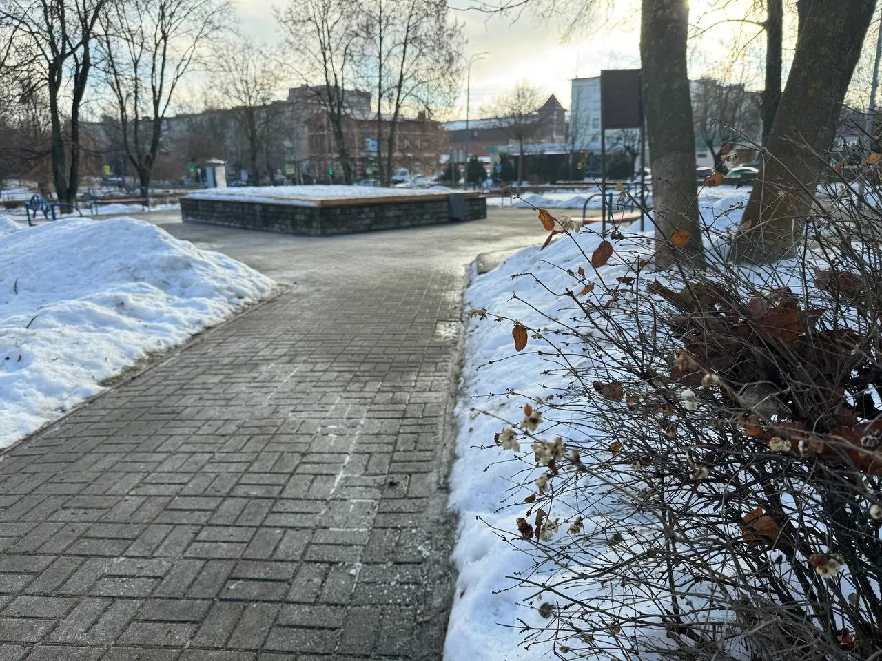 Фото: t.me/dvmordvintsev