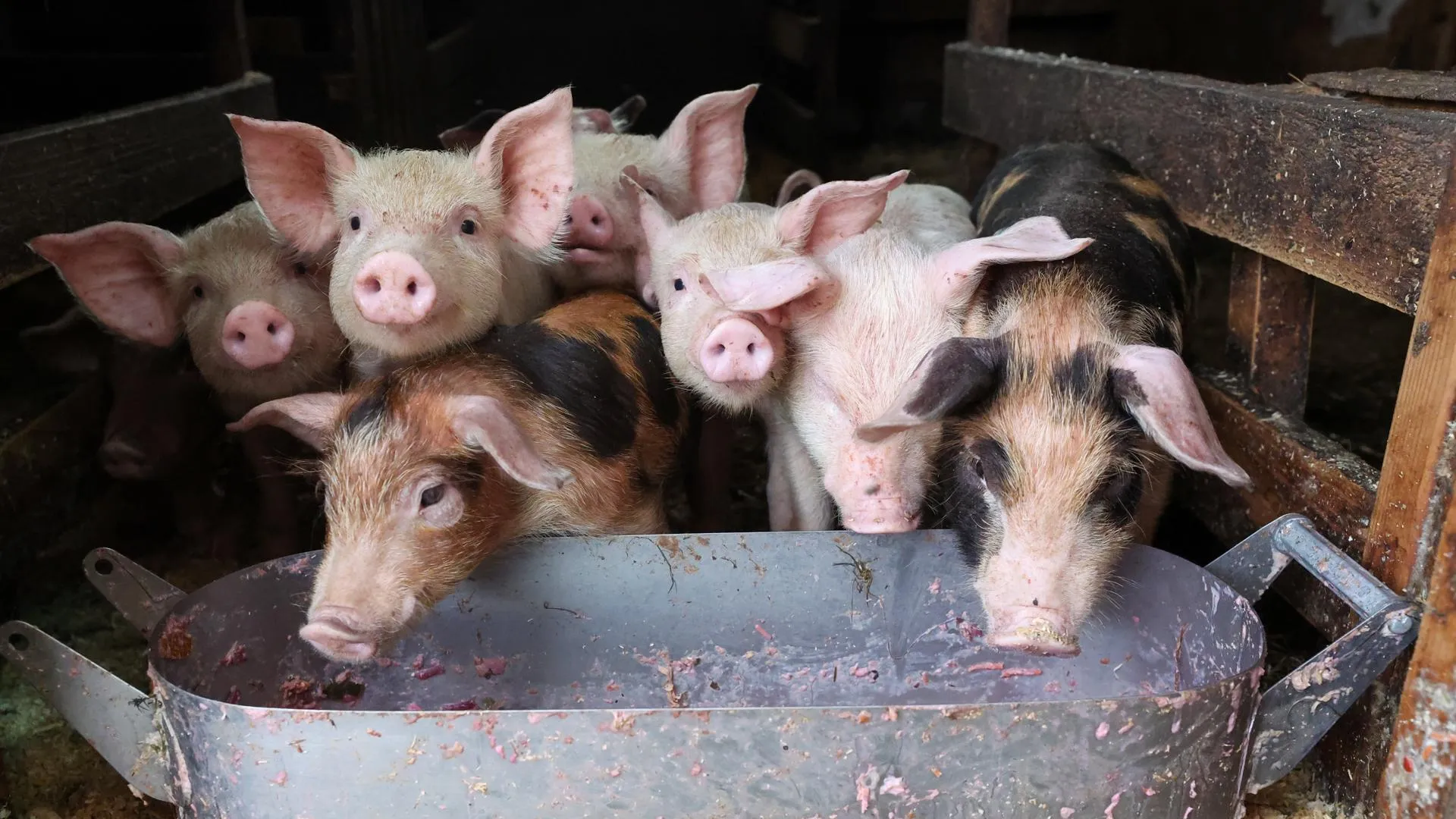 Belkin Alexey/news.ru