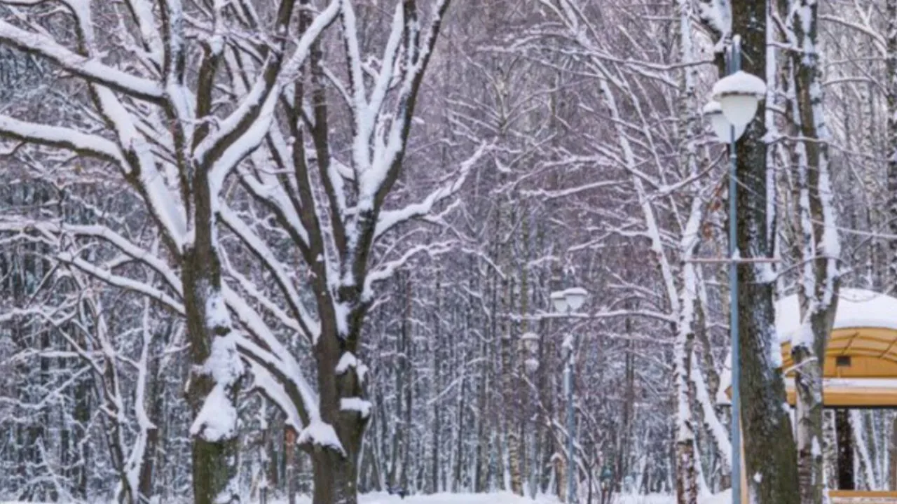 Фото: медиасток.рф