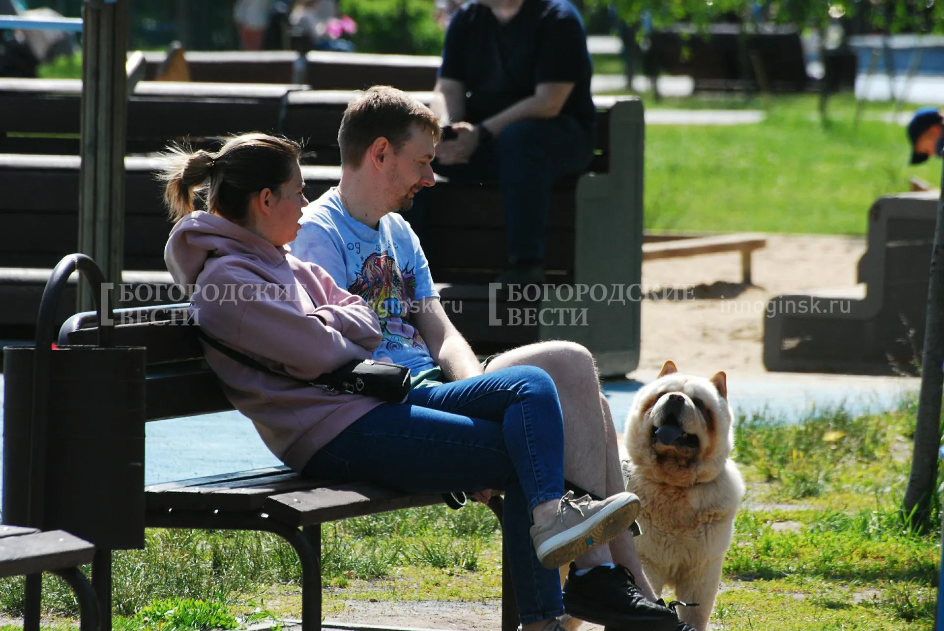 REGIONS/Александр Легкий