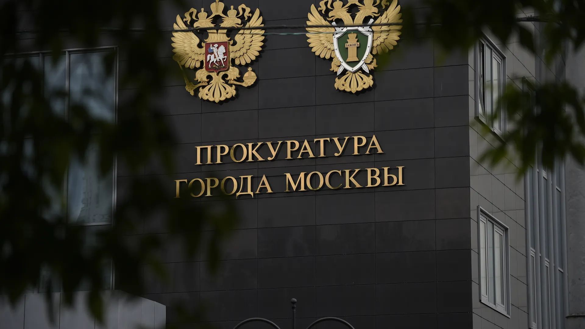 Оскорбившую русских актрису Яну Троянову проверят на призывы к экстремизму