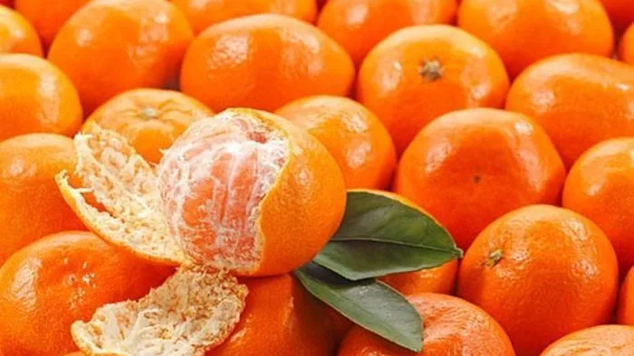 фото: yandex.com