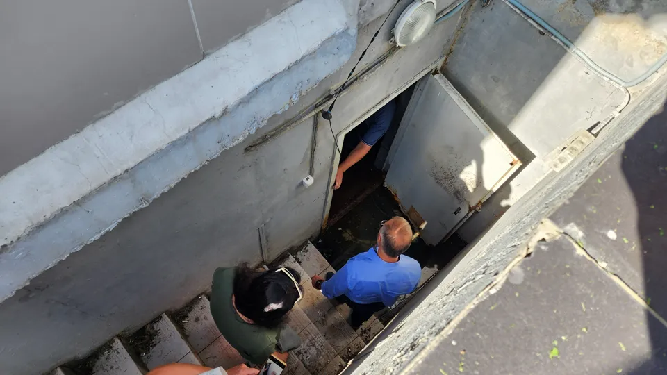 Фото: МедиаБанк Подмосковья/Дмитрий Алексеенко