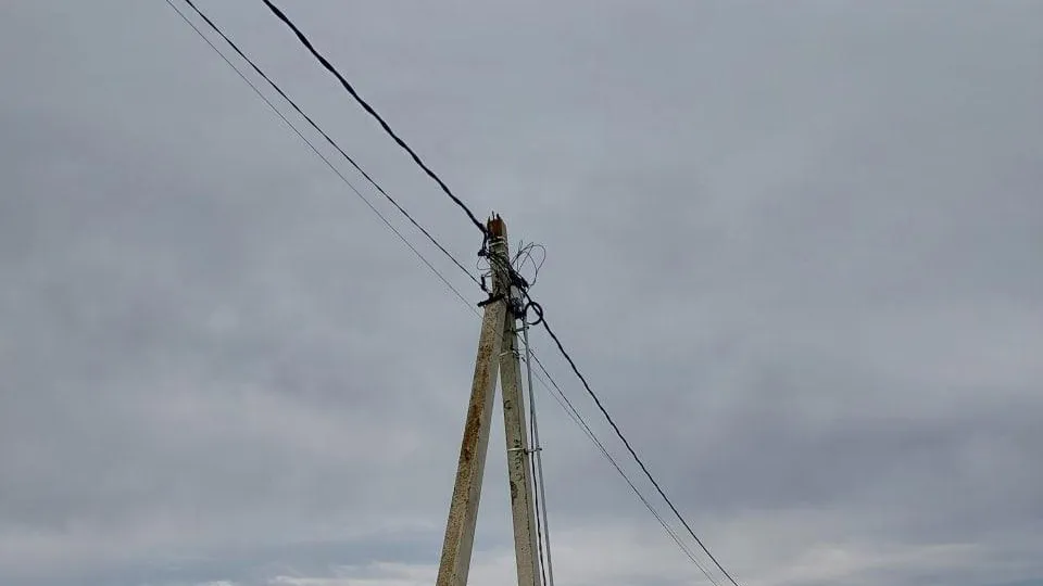 Фото: Администрация муниципального округа Шаховская