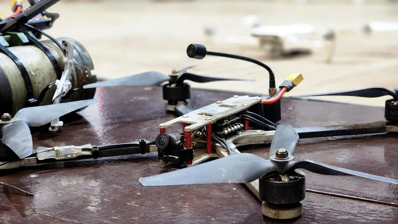 REGIONS/Полина Пахомова