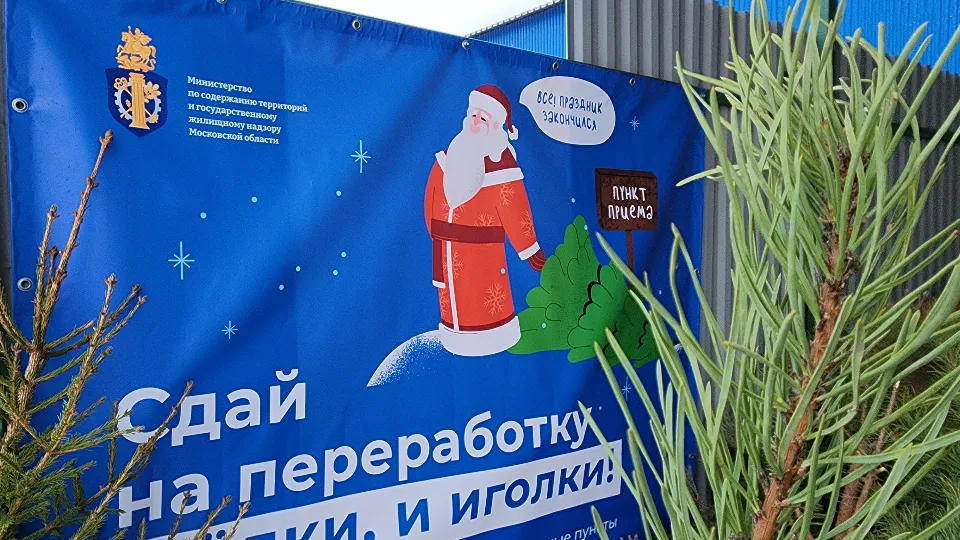 Фото: МедиаБанк Подмосковья/Валерия Тингаева