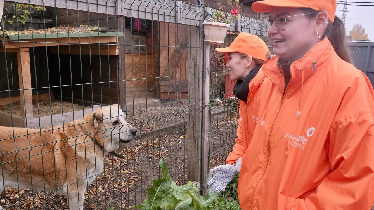 пресс-служба го Красногорск