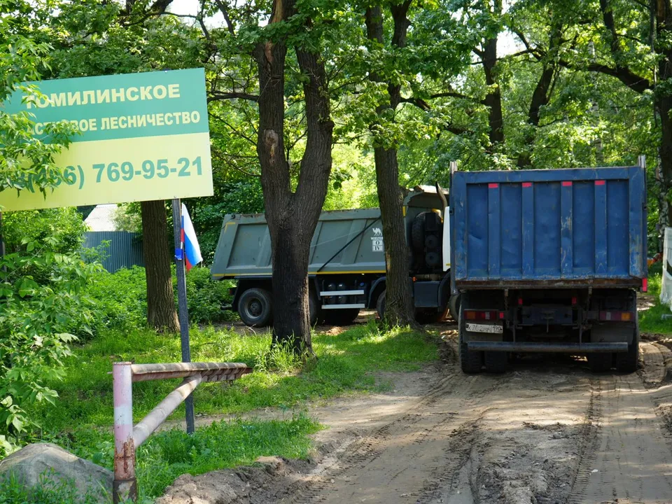 Фото: Мария Юдина