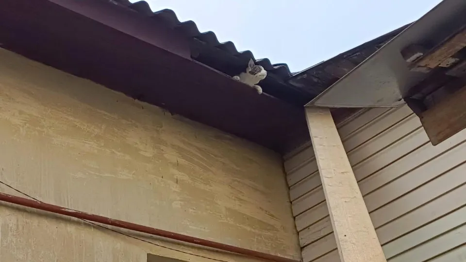 Фото: ГКУ МО «Мособлпожспас»