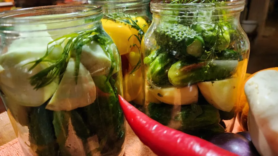 Фото: МедиаБанк Подмосковья/Ксения Пашуто