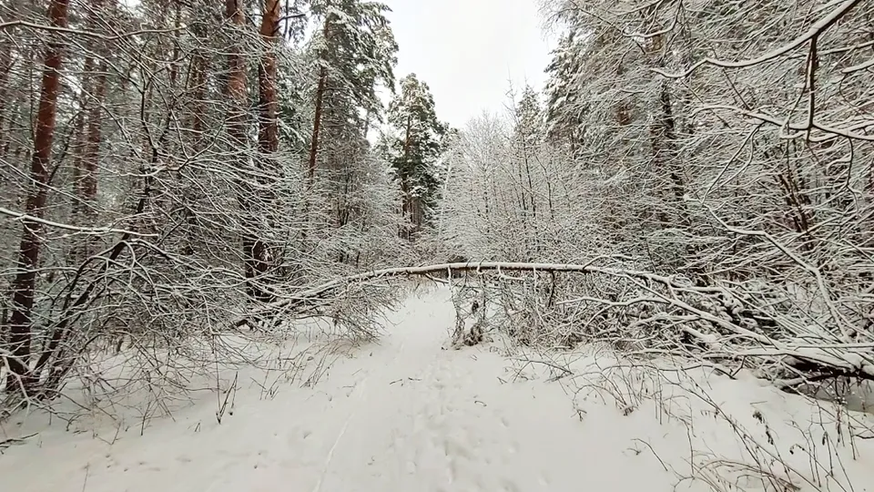 Фото: REGIONS/Алексей Селиверстов