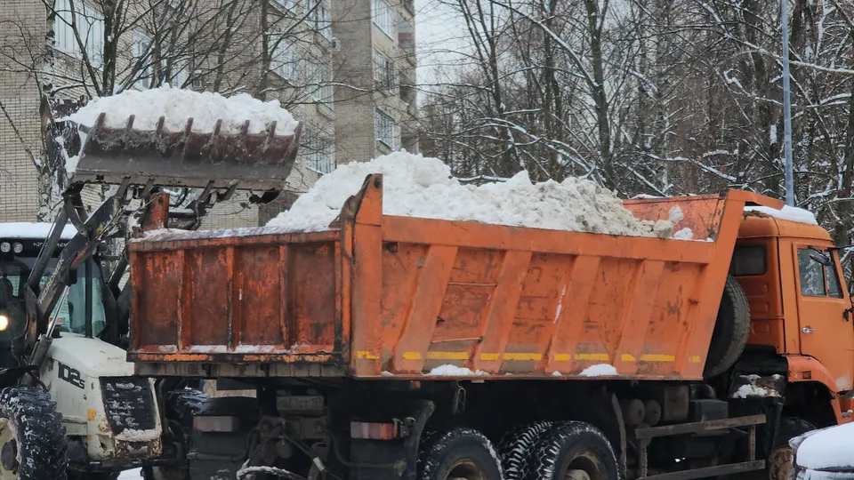 Фото: МедиаБанк Подмосковья/Иван Петрушин