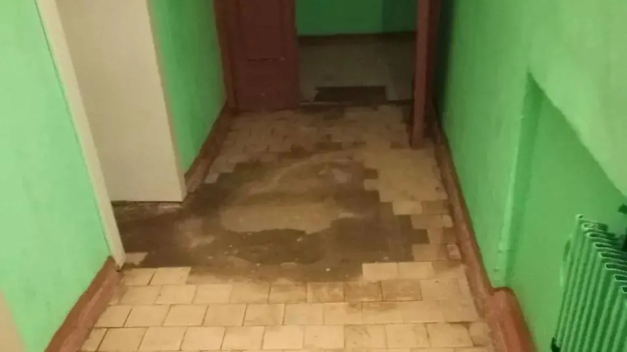 администрация Дмитровского муниципального округа