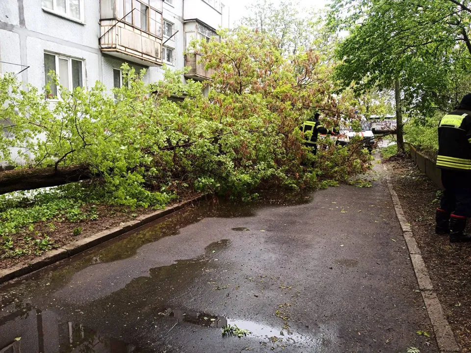 Фото: пресс-служба администрации г.о. Щелково