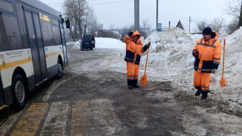 Фото: Пресс-служба администрации городского округа Истра
