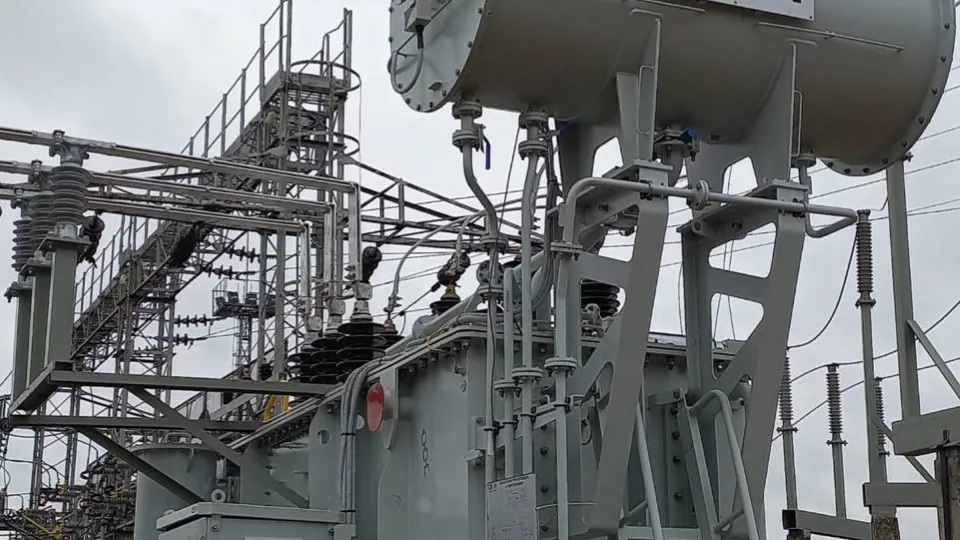 Фото: Администрация г.о. Чехов