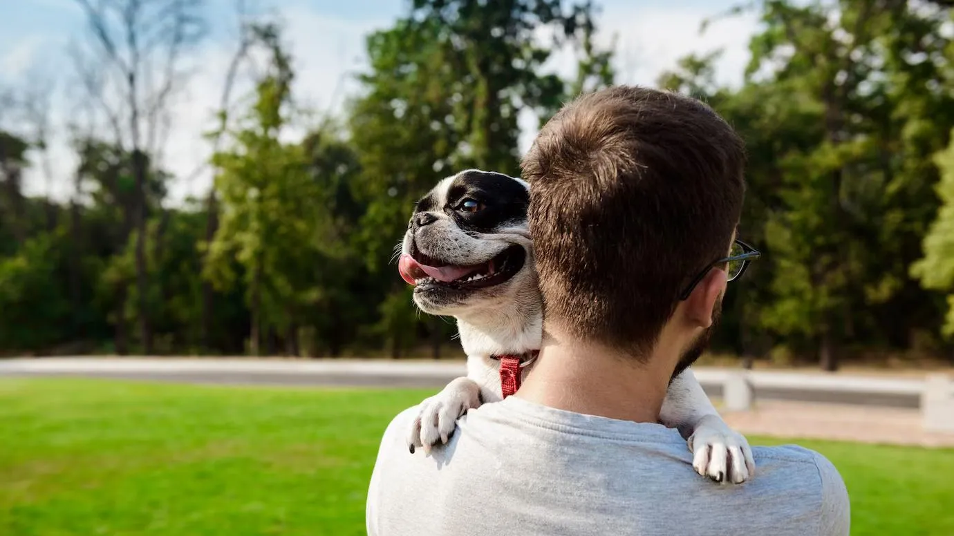 медиасток.рф