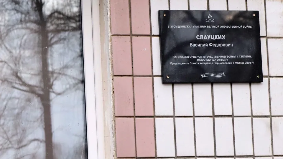 Фото: пресс-служба администрации г.о. Черноголовка