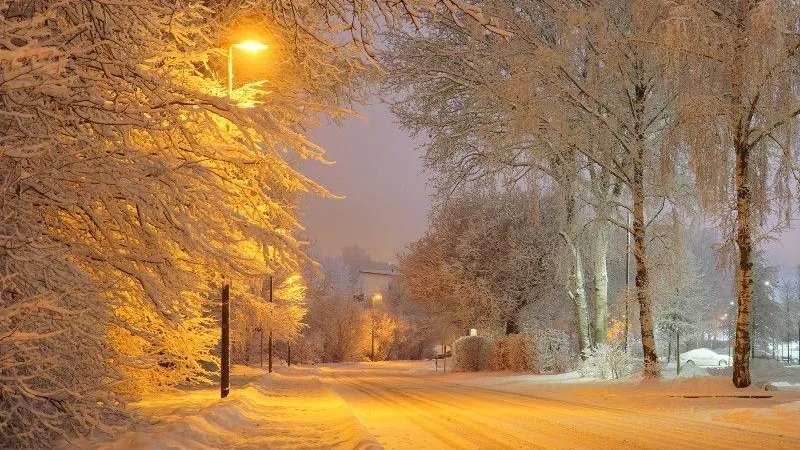 Жителей Подмосковья предупредили о снегопаде и метели до полудня пятницы