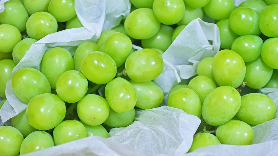 Фото: istockphoto.com/igaguri_1