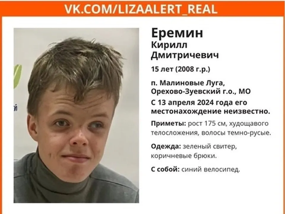 Фото: поисковый отряд&nbsp;«Лиза Алерт»