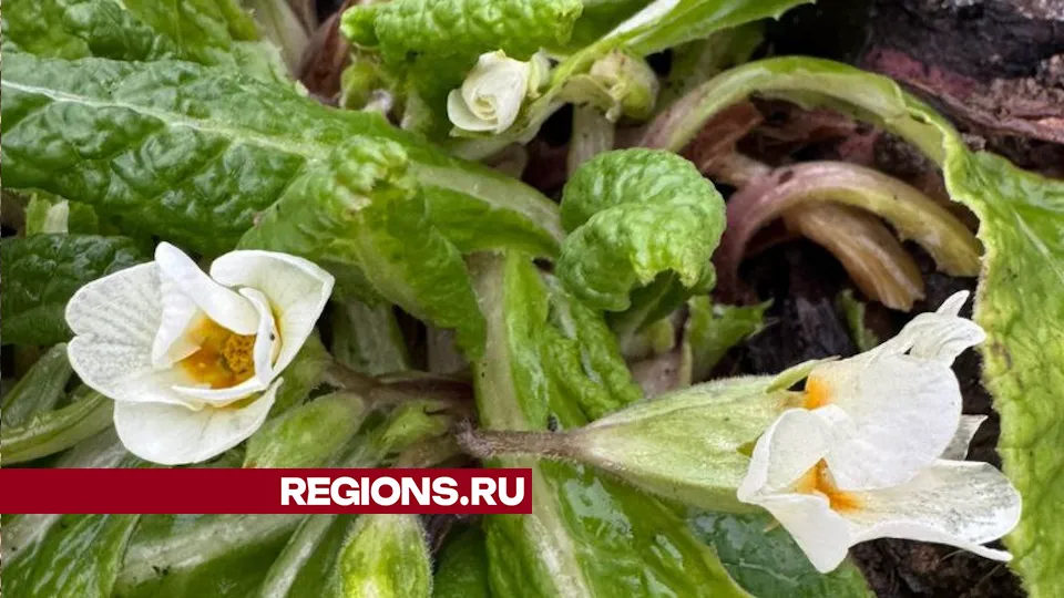 Фото: Елена Смирнова