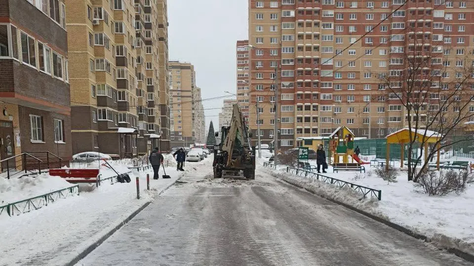 Фото: пресс-служба администрации г.о. Лосино-Петровский