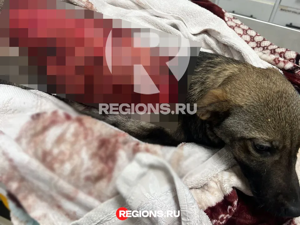 Фото: предоставлено Ольгой Ковальчук