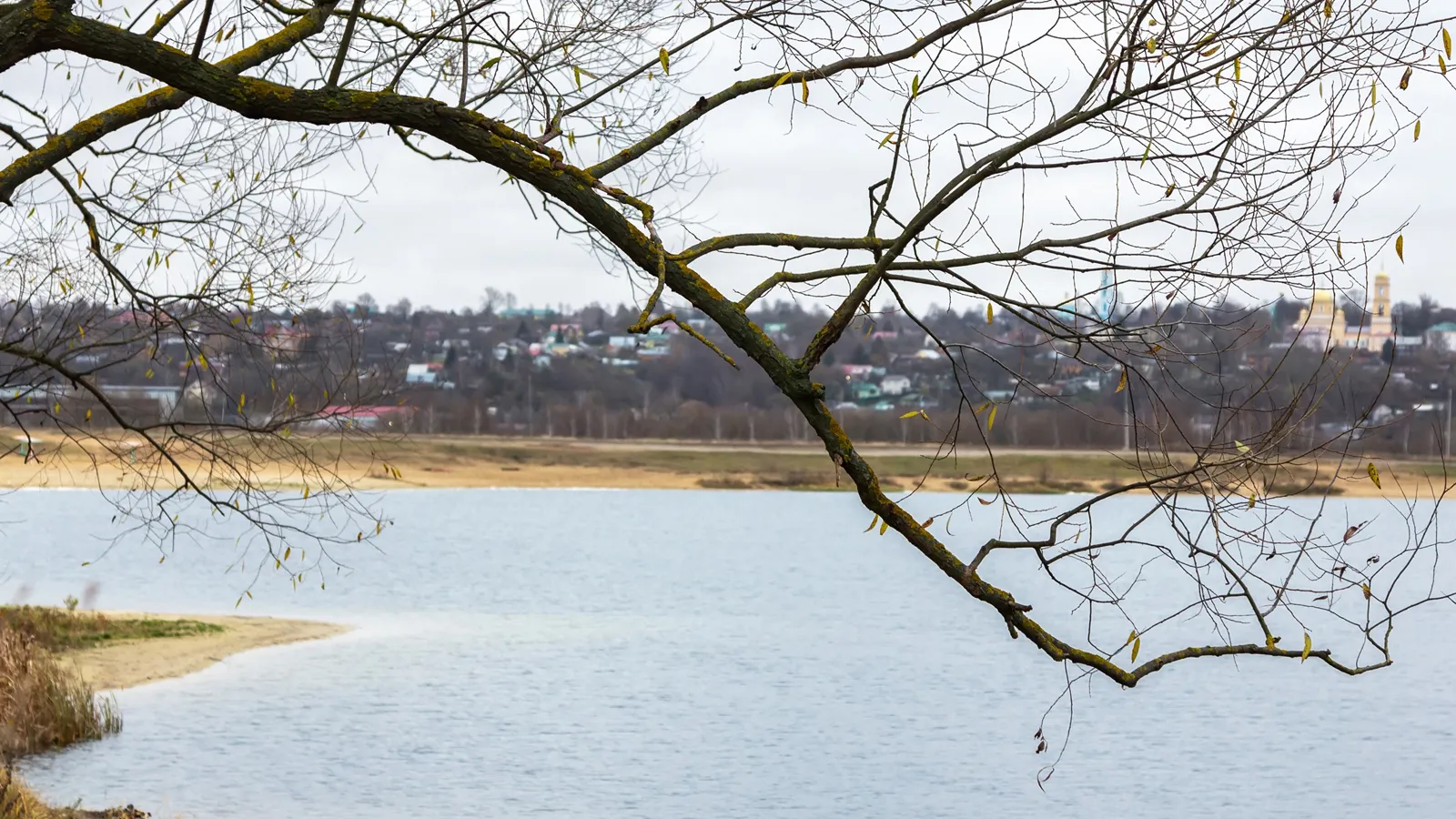 Фото: Антон Кондратюк