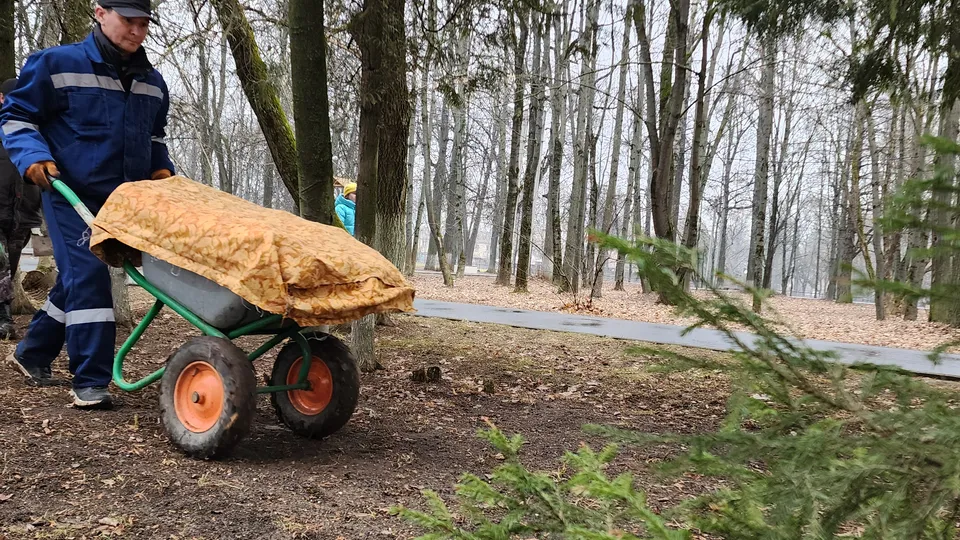 Фото: Медиабанк Подмосковья/Анастасия Сараева
