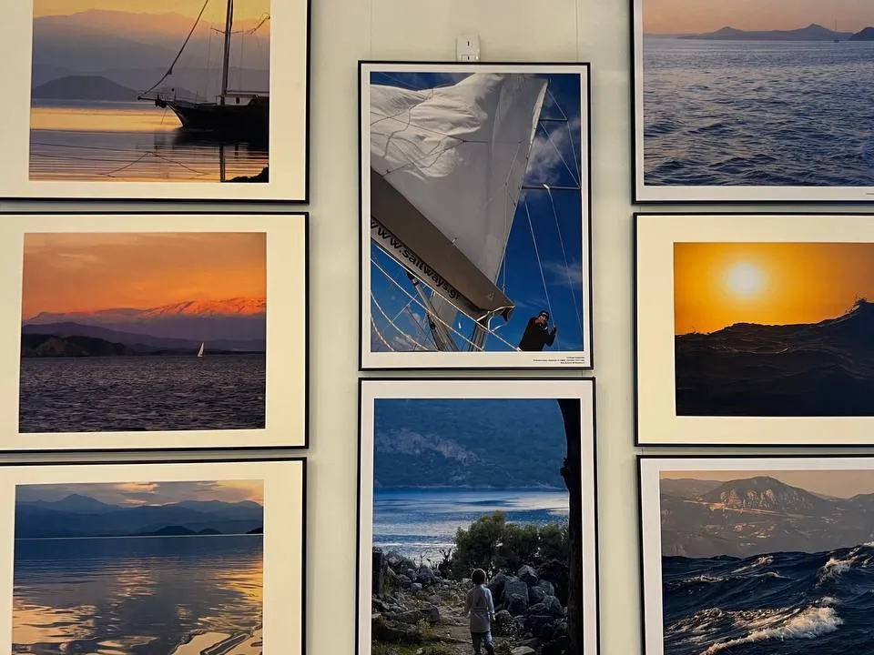 Фото:&nbsp;ЦКР «Вертикаль»