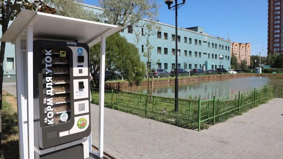 Фото: Пресс-служба администрации городского округа Мытищи