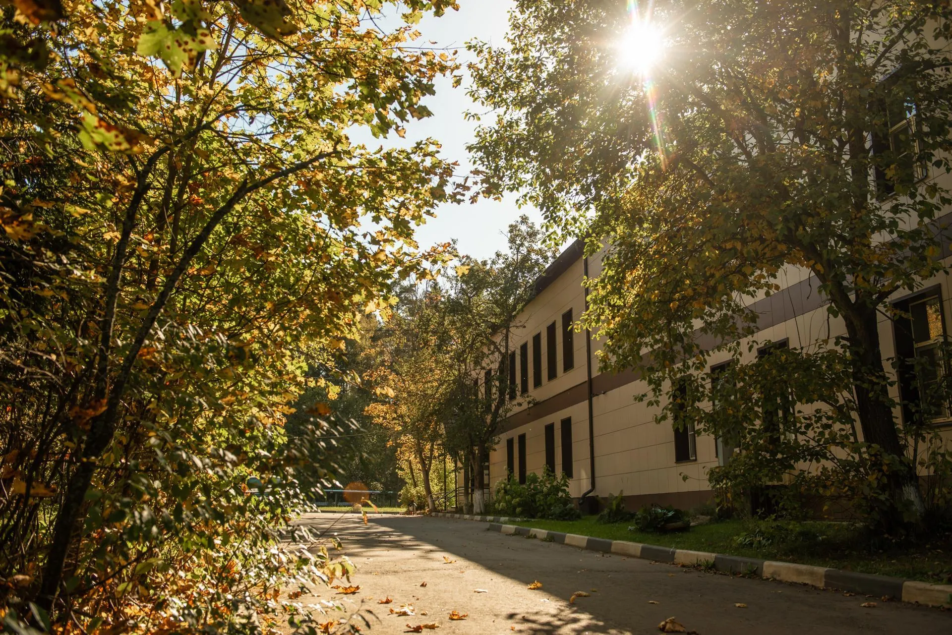 Фото: Пресс-служба Солнечногорской больницы