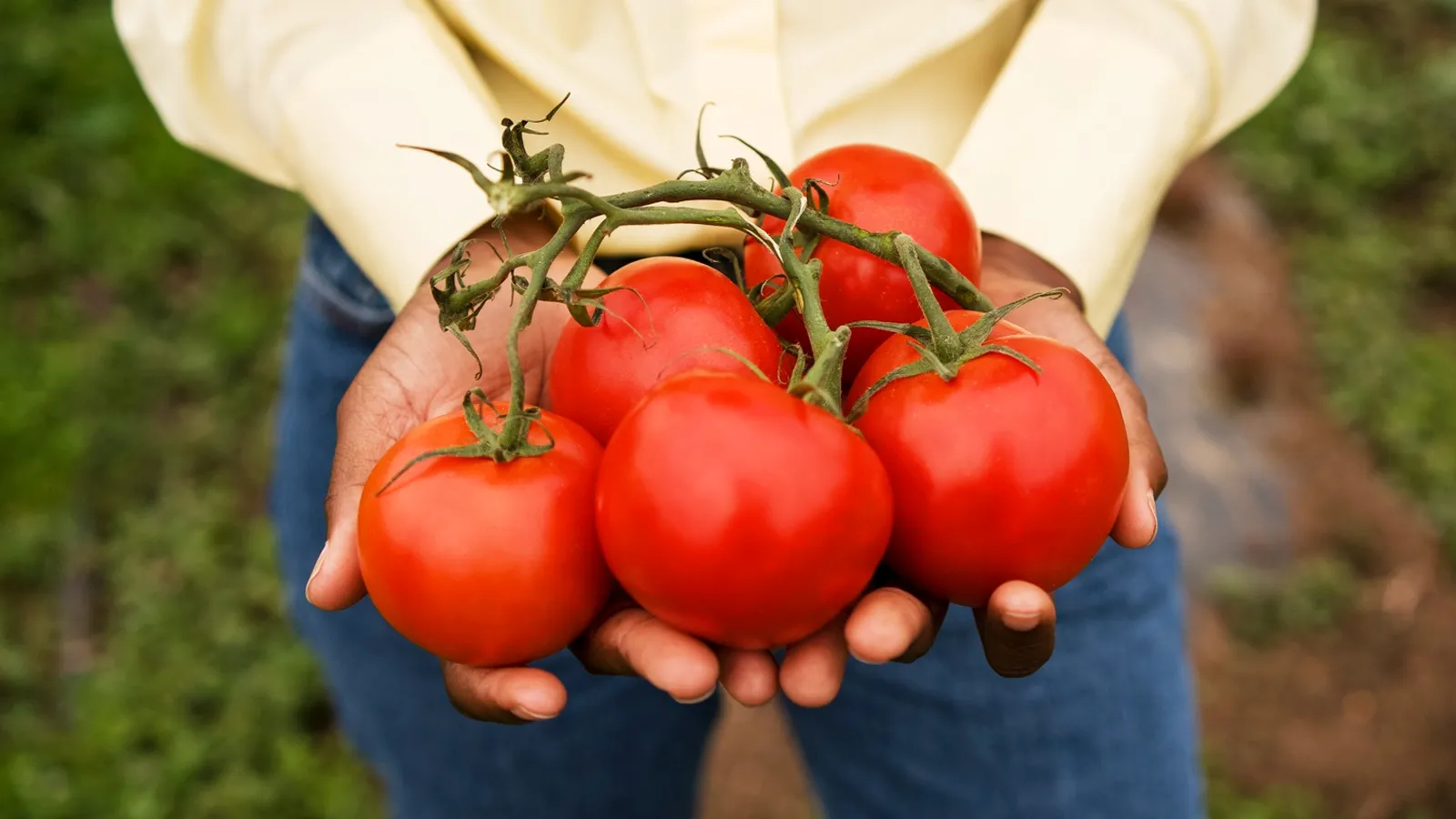 Фото: freepik.com