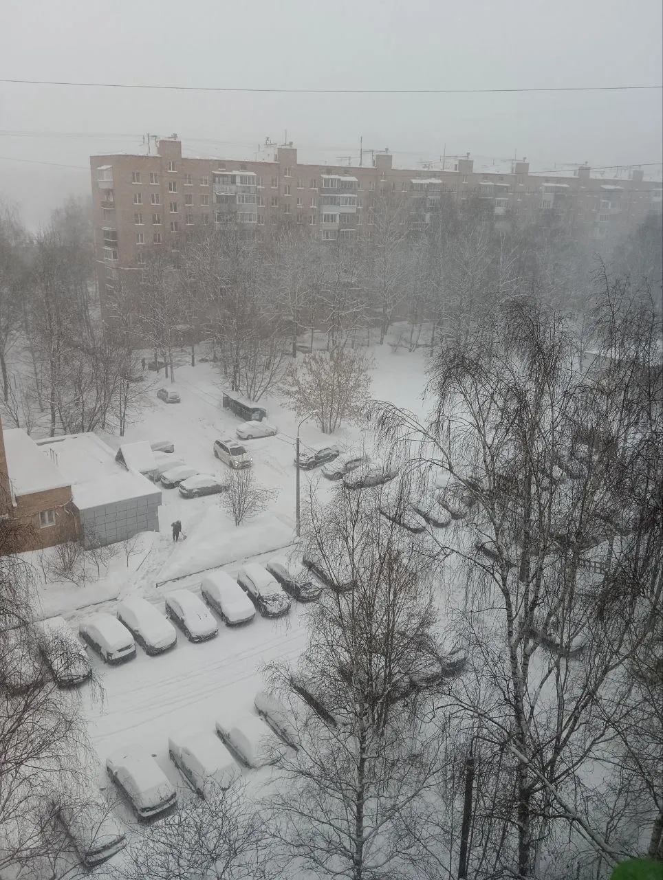 Фото: Марина Литвинова