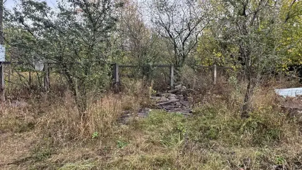 Фото: Комитет по конкурентной политике Московской области