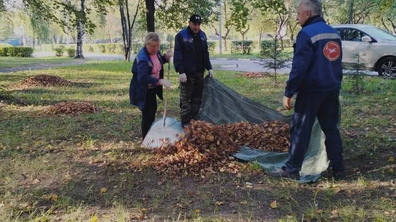 фото: МБУ Чеховское благоустройство