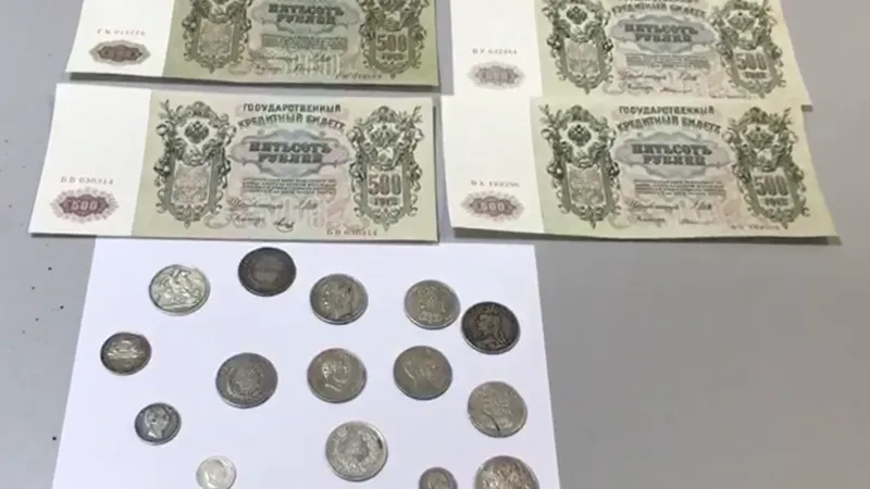Старинные монеты из Вероны пытался провезти пассажир в Домодедово