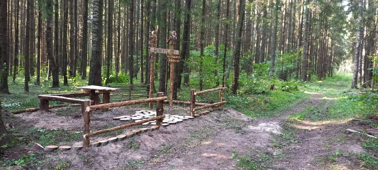 Фото: Комитет лесного хозяйства Московской области